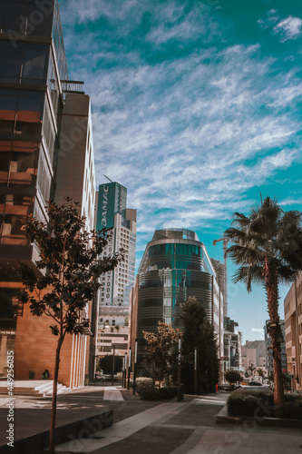 Cuadro en lienzo jordan amman trees with buildings with sky