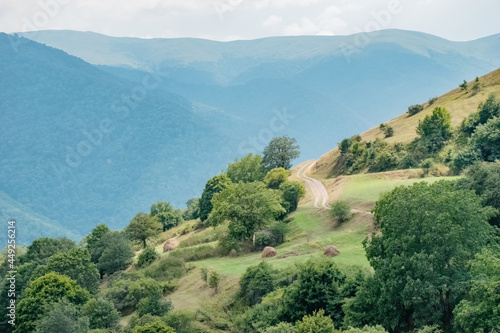 landscape with trees and mountains