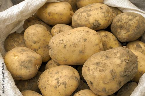 fresh potatoes on the market