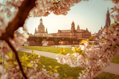 Dresden bei Frühling