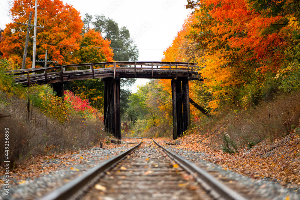 Fototapeta premium An old wooden bridge sits over railroad tracks surrounded by orange and yellow fall color trees in autumn_02