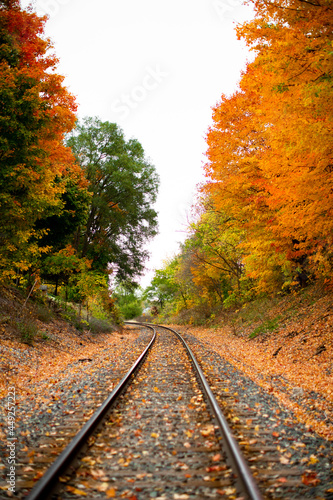 Railroad tracks in the middle of nowhere cutting through fall colored autumn trees changing colors_09