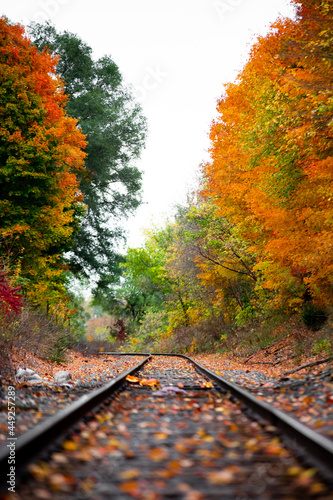 Railroad tracks in the middle of nowhere cutting through fall colored autumn trees changing colors_06