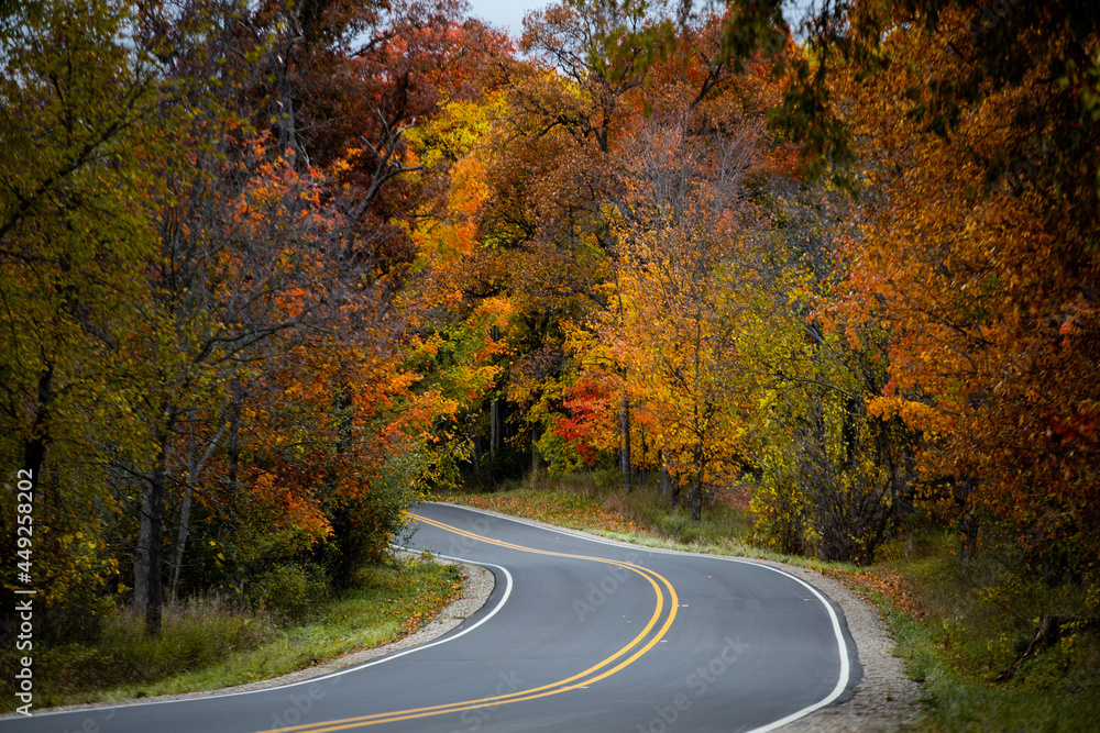 Obraz premium A countryside road running through a thick forest of autumn fall colored trees in the midwest_05