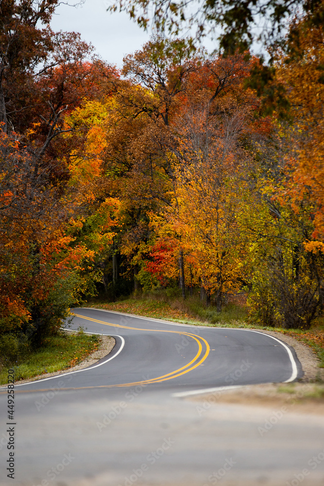 A countryside road running through a thick forest of autumn fall colored trees in the midwest_04