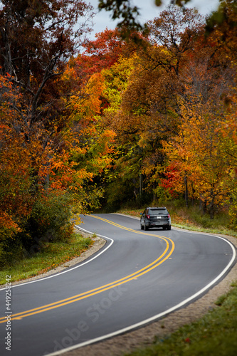 A countryside road running through a thick forest of autumn fall colored trees in the midwest_03