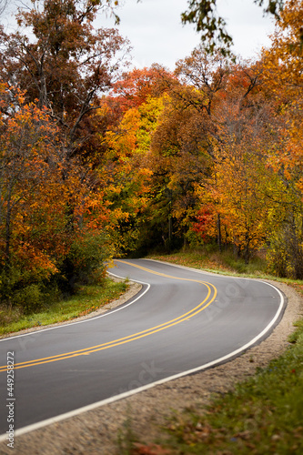 A countryside road running through a thick forest of autumn fall colored trees in the midwest_01