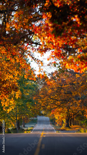 A countryside road running through a thick forest of autumn fall colored trees in the midwest_08