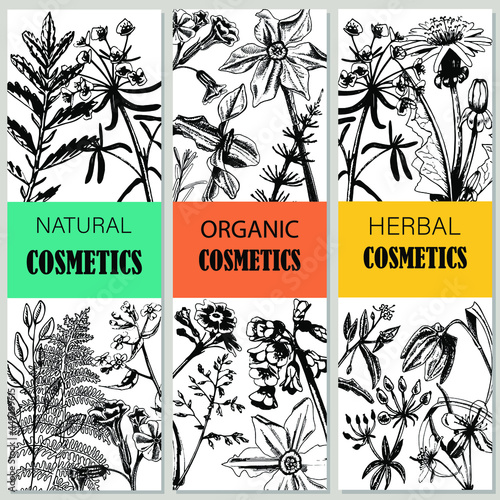 Vector image, vintage cosmetics packaging templates. Graphics.