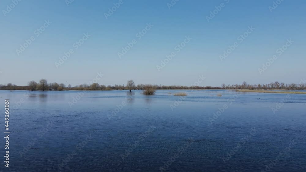 Flooded trees during a period of high water. Trees in water. Landscape with spring flooding of Pripyat River near Turov, Belarus. Flooded trees during a period of high water. Trees in water. Landscape with spring flooding of Pripyat River near Turov, Belarus.