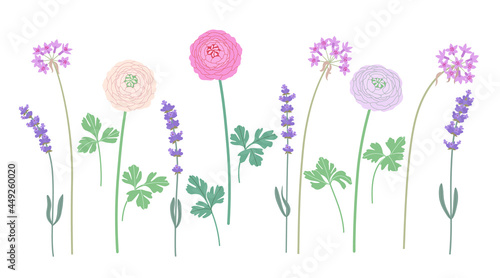 Simple Different Flowers on Stems Set