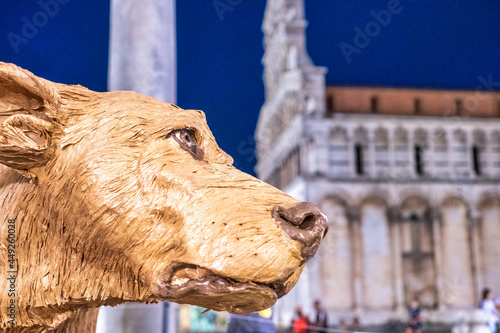 Dog head at night in Lucca, St Michael Square - Italy.