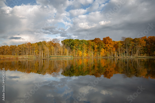 Fall colored leaves on autumn trees in a forest reflecting on a lake during golden hour in the midwest_07