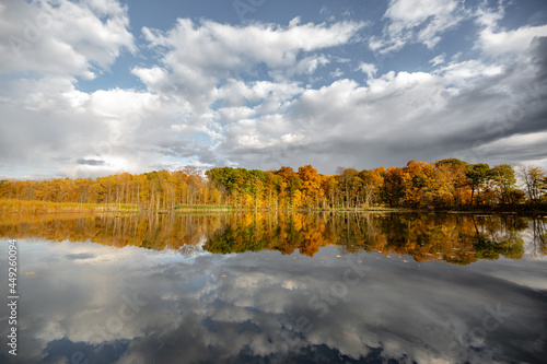 Fall colored leaves on autumn trees in a forest reflecting on a lake during golden hour in the midwest_03