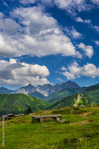 Fototapeta Naklejka Na Ścianę i Meble -  Rusinowa Polana - Tatry, Polska