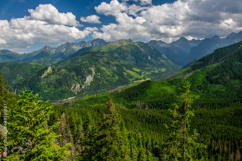 Gęsia Szyja - szlak z Rusinowej Polany, Tatry
