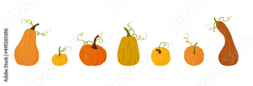 Hand drawn trendy pumpkins various shapes and colors. Harvest thanksgiving or halloween design elements for poster, card. Set of fall vegetables. Flat Vector illustation isolated on white background