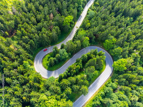 Asphalt road serpentine in the forest. Aerial view from drone.