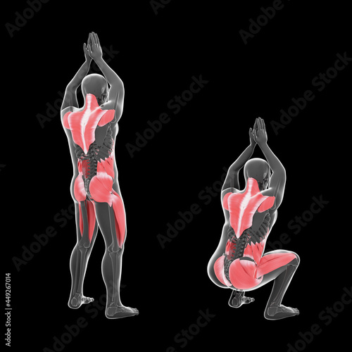 3d Illustration of Overhead Squat