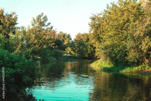 lake in summer