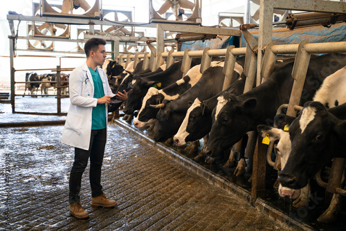 Vet working in the barn stock