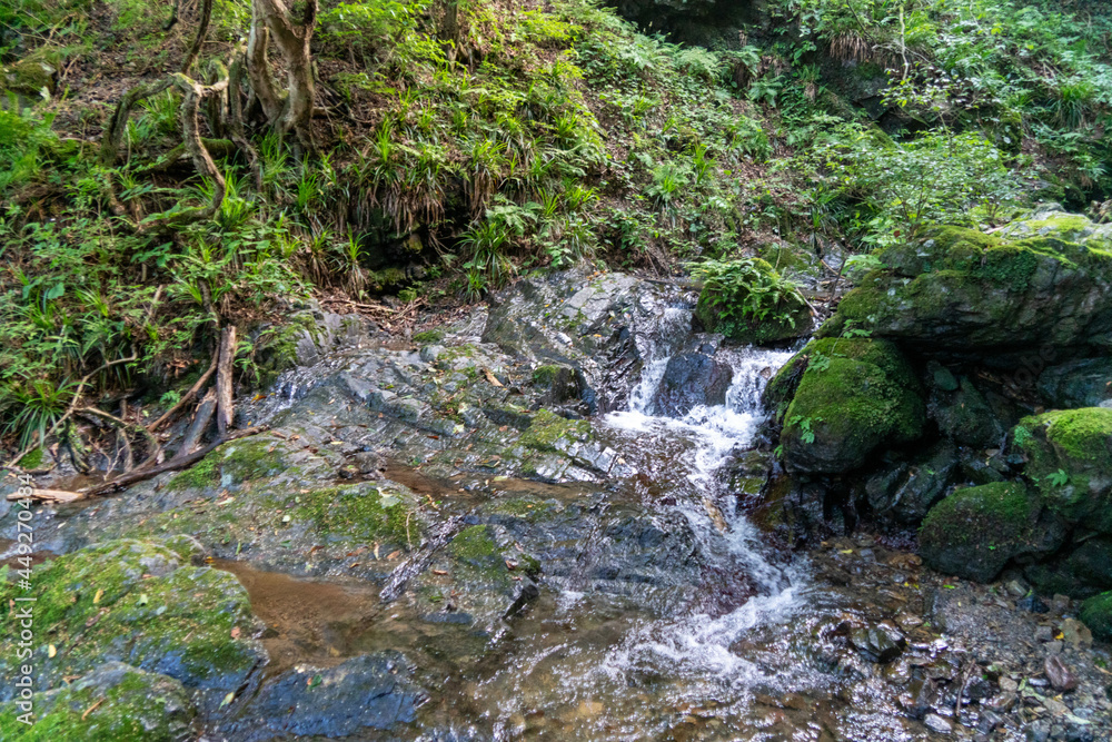 東京都西多摩郡奥多摩町、埼玉県飯能市にある棒ノ折山で登山する風景 Scenery of climbing at Mount Bouno-oreyama in Okutama Town, Nishitama County, Tokyo and Hanno City, Saitama Prefecture. 東京都西多摩郡奥多摩町、埼玉県飯能市にある棒ノ折山で登山する風景 Scenery of climbing at Mount Bouno-oreyama in Okutama Town, Nishitama County, Tokyo and Hanno City, Saitama Prefecture.
