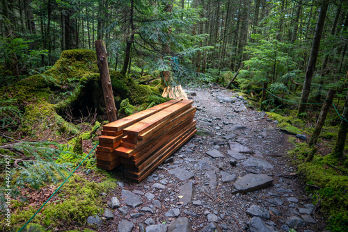 長野県南佐久郡の八ヶ岳のニュウの登山道の風景 A view of the trail at Nyu, Yatsugatake, Minamisaku-gun, Nagano Prefecture, Japan. photo