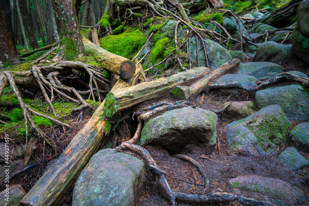 長野県南佐久郡の八ヶ岳のニュウの登山動の風景 Nyu, Yatsugatake, Minamisaku-gun, Nagano Prefecture, Japan. 長野県南佐久郡の八ヶ岳のニュウの登山動の風景 Nyu, Yatsugatake, Minamisaku-gun, Nagano Prefecture, Japan.