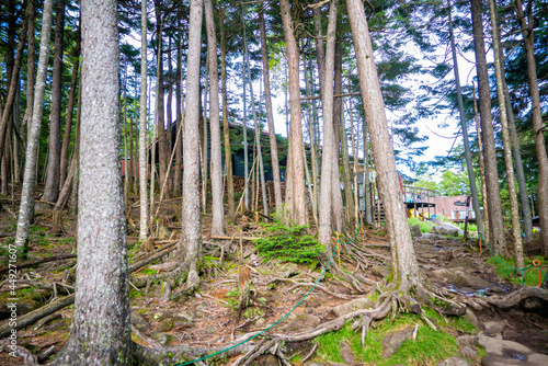 長野県南佐久郡の八ヶ岳のニュウの登山動の風景 Nyu, Yatsugatake, Minamisaku-gun, Nagano Prefecture, Japan. photo