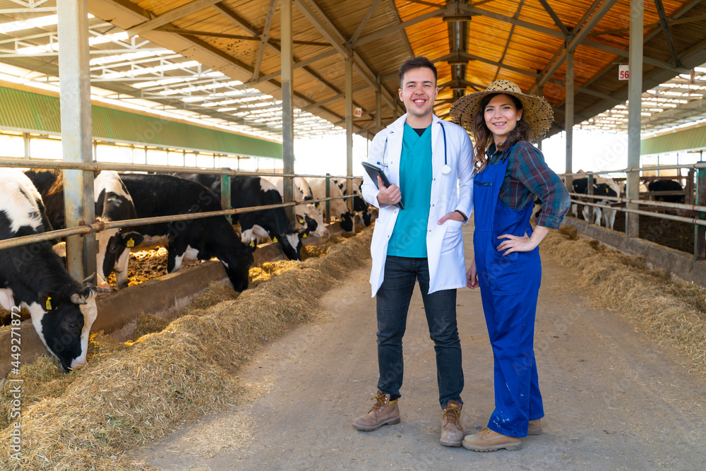 Young farmer and veterinarian standing on dairy farm Young farmer and veterinarian standing on dairy farm
