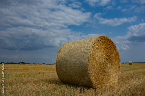 Haystacks are collected from the field in summer against the background of the sky with clouds.