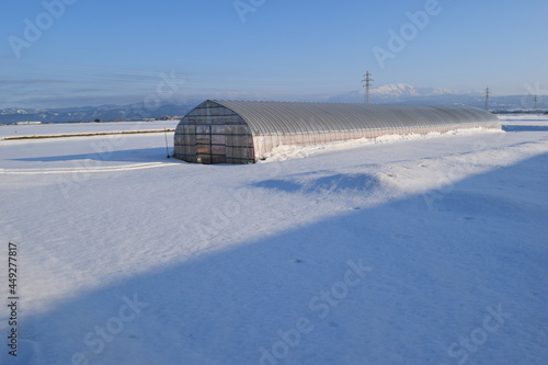 ビニールハウス 雪景色