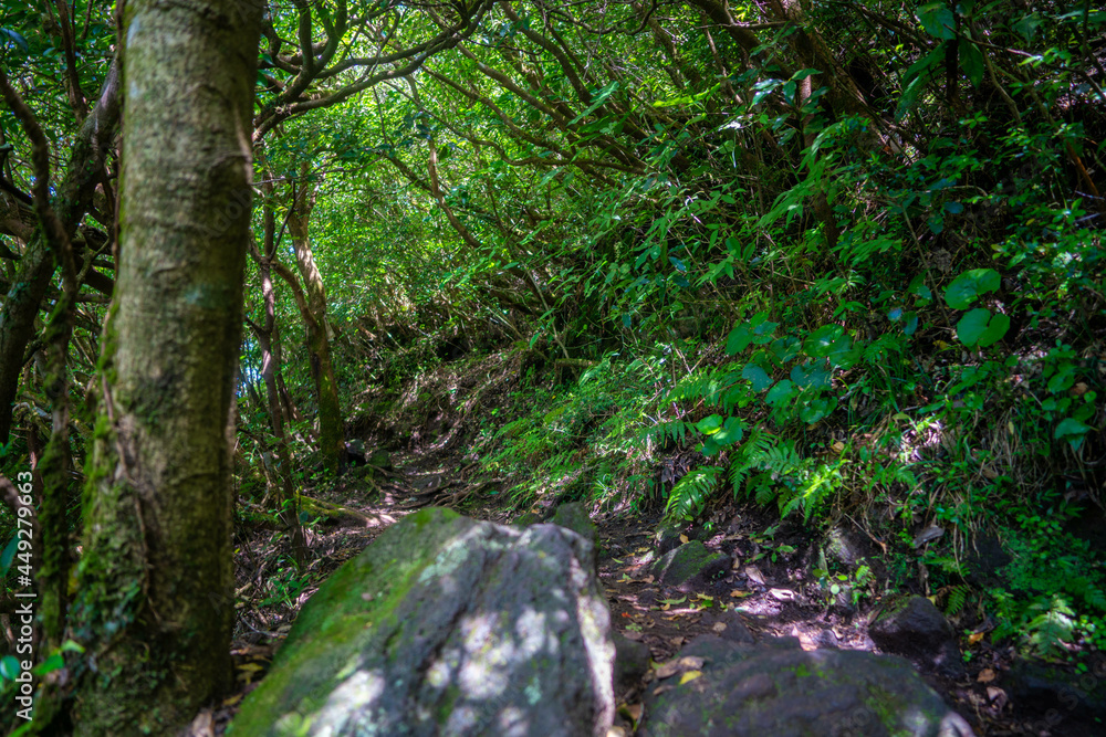 鹿児島県指宿市の開聞岳を登山している風景 A view of climbing Mt. Kaimon in Ibusuki City, Kagoshima Prefecture, Japan. 鹿児島県指宿市の開聞岳を登山している風景 A view of climbing Mt. Kaimon in Ibusuki City, Kagoshima Prefecture, Japan.
