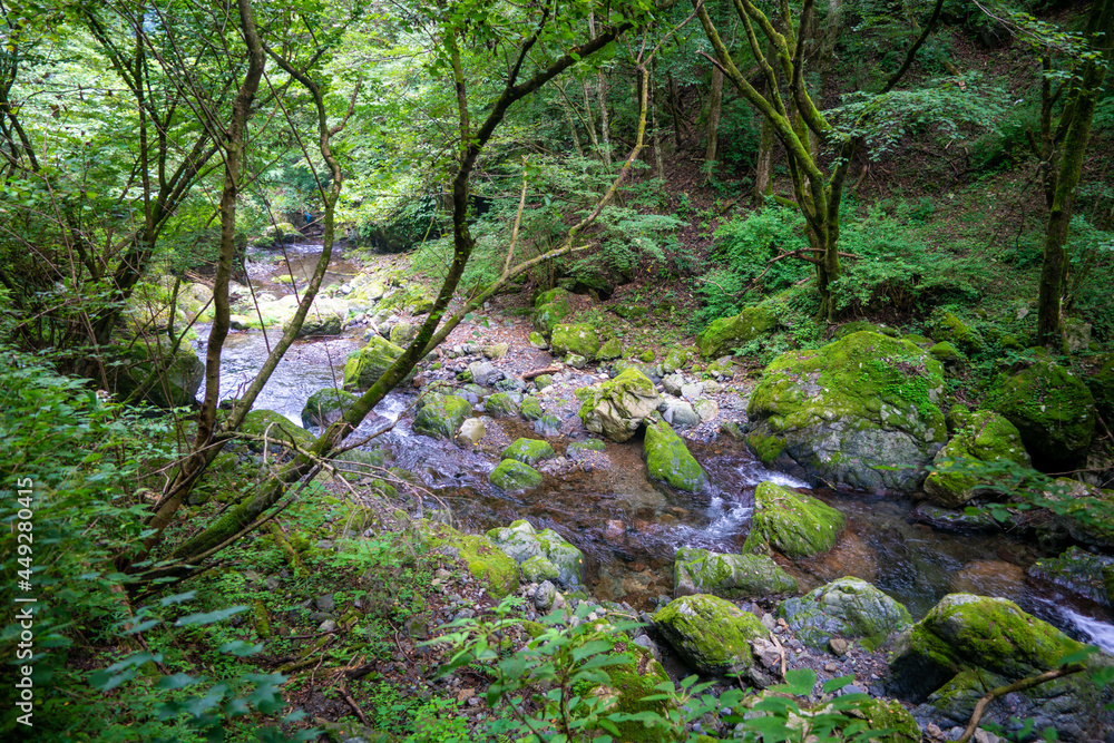 東京都西多摩郡奥多摩町の川苔山に登山している風景 Scenery of climbing Mt. Kawanori-yama in Okutama-cho, Nishitama-gun, Tokyo. 東京都西多摩郡奥多摩町の川苔山に登山している風景 Scenery of climbing Mt. Kawanori-yama in Okutama-cho, Nishitama-gun, Tokyo.