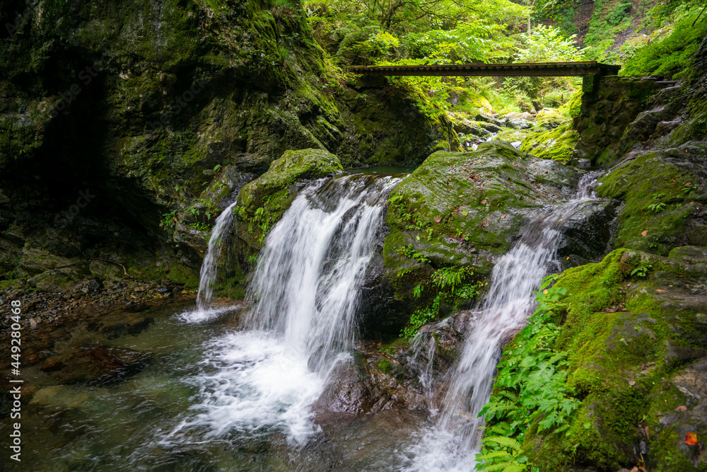東京都西多摩郡奥多摩町の川苔山に登山している風景 Scenery of climbing Mt. Kawanori-yama in Okutama-cho, Nishitama-gun, Tokyo. 東京都西多摩郡奥多摩町の川苔山に登山している風景 Scenery of climbing Mt. Kawanori-yama in Okutama-cho, Nishitama-gun, Tokyo.