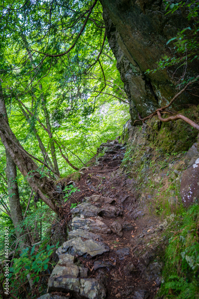 東京都西多摩郡奥多摩町の川苔山に登山している風景 Scenery of climbing Mt. Kawanori-yama in Okutama-cho, Nishitama-gun, Tokyo.