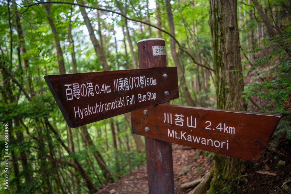 東京都西多摩郡奥多摩町の川苔山に登山している風景 Scenery of climbing Mt. Kawanori-yama in Okutama-cho, Nishitama-gun, Tokyo.