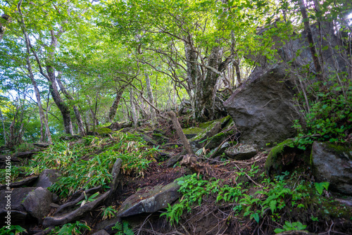                                                                                                      Scenery of climbing Mt. Akagi  Mt. Kurobi-san and Mt. Jizo-dake in Maebashi and Kiryu  Gunma Prefecture. 