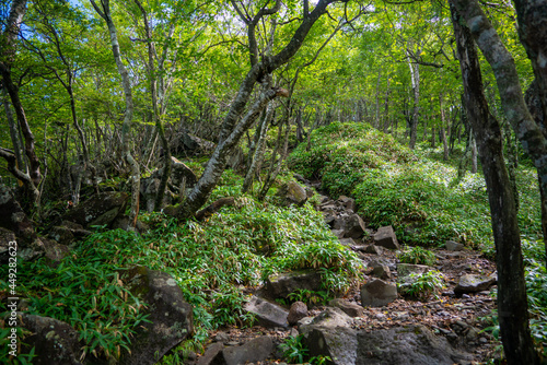                                                                                                     Scenery of climbing Mt. Akagi  Mt. Kurobi-san and Mt. Jizo-dake in Maebashi and Kiryu  Gunma Prefecture. 