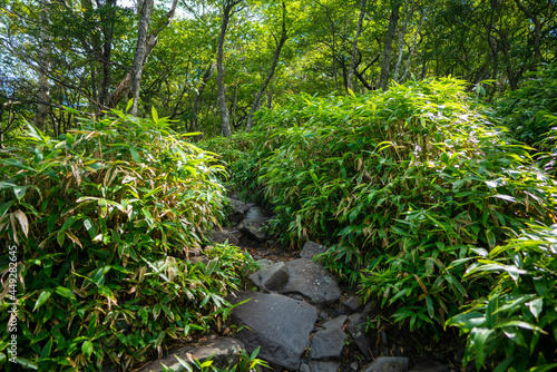 群馬県前橋市、桐生市にある赤城山、黒檜山、地蔵岳を登山している風景 Scenery of climbing Mt. Akagi, Mt. Kurobi-san and Mt. Jizo-dake in Maebashi and Kiryu, Gunma Prefecture. 