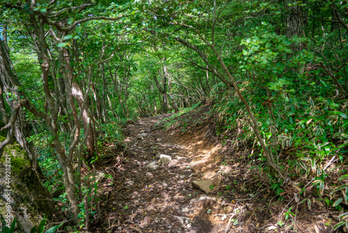 群馬県前橋市、桐生市にある赤城山、黒檜山、地蔵岳を登山している風景 Scenery of climbing Mt. Akagi, Mt. Kurobi-san and Mt. Jizo-dake in Maebashi and Kiryu, Gunma Prefecture. 