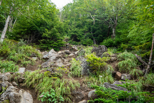                                                            A view of climbing Mt. Ottai in Nikko City  Tochigi Prefecture. 