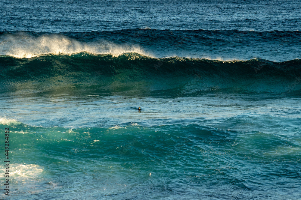 Fototapeta premium wave breaking in the ocean with Bodysurfer swimming in the waves 