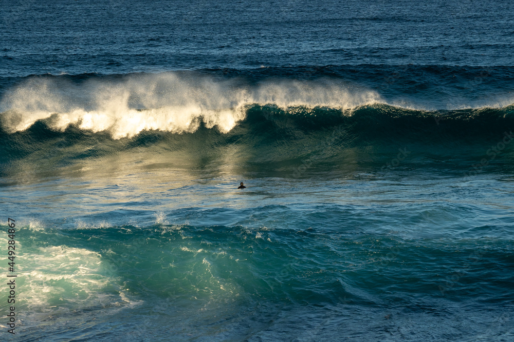 Fototapeta premium wave breaking in the ocean with Bodysurfer swimming in the waves 