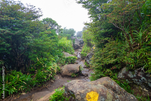 大分県玖珠郡九重町、竹田市久住町のくじゅう連山を登山している風景 A scene of climbing the Kujyu mountain range in Kusu-gun, Kokonoe-machi and Takeda-shi, Oita Prefecture.  photo