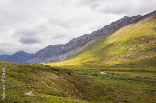 A stream flowing in the summer time in Gates of the Arctic National Park  Alaska   the least visited national park in the United States.