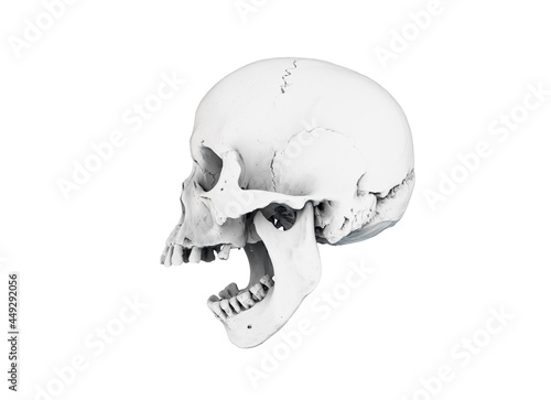 A human with a wide-open mouth on saturated colors on a white background. Image for printing. The concept of death  horror. Spooky Halloween symbol  virus. Design materials. 3d render illustration.