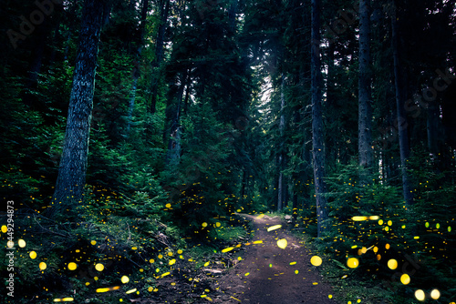 Fireflies flying in the forest at twilight.