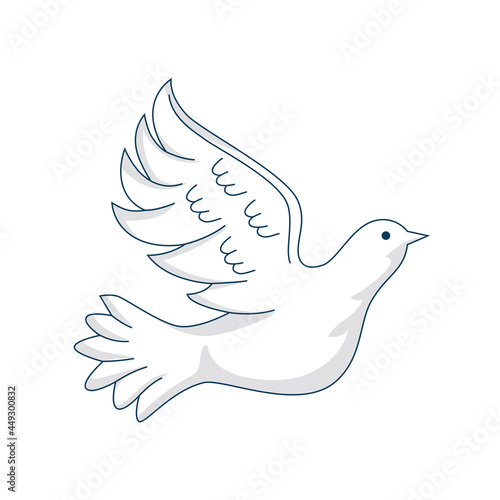 cute dove flying