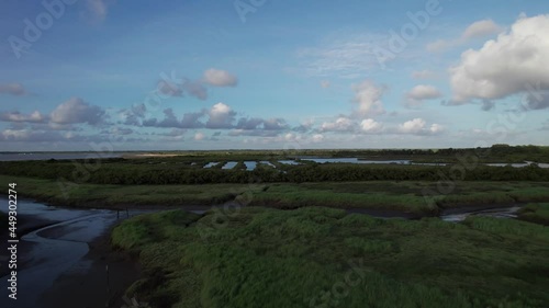 Flying Over Vegetations At Bassin d'Arcachon In The Atlantic Ocean, Southwest Coast Of France. - Aerial Drone Shot photo